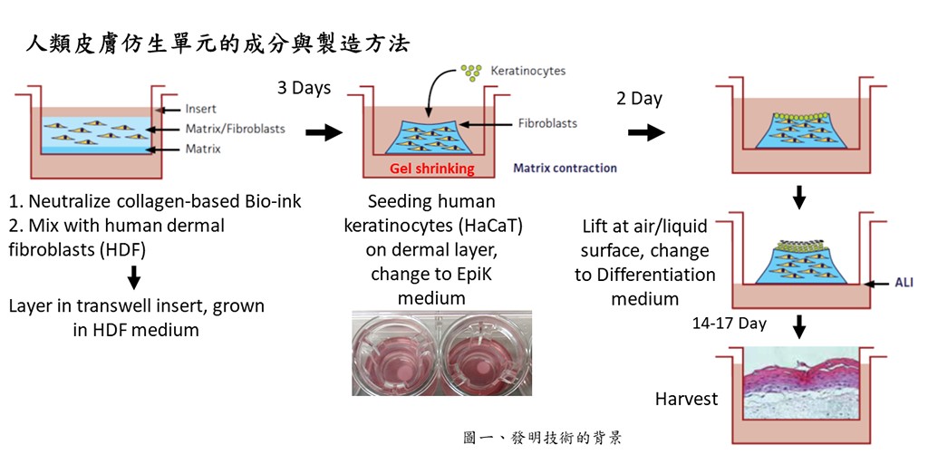 【衛福部技術團隊研發成果4】一種人類皮膚仿生單元的成分與製造方法